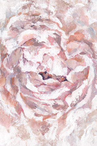 Blooming Flower