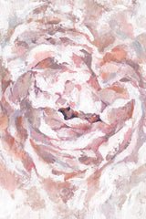 Blooming Flower