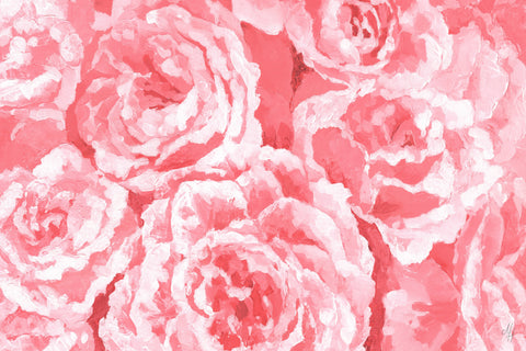 Pink Floral Blooms