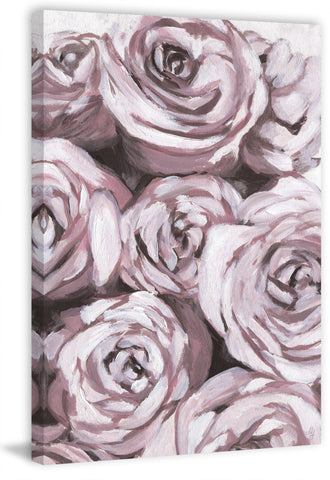 Rose's Spotlight