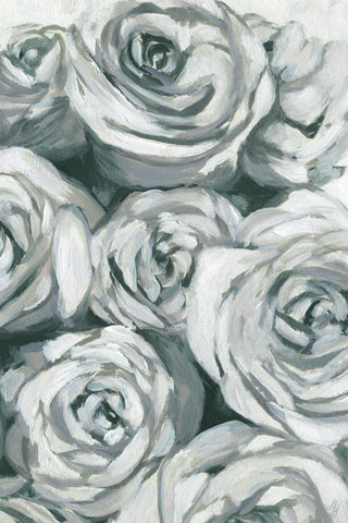 Grayed Rose's Spotlight
