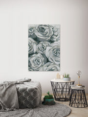 Grayed Rose's Spotlight