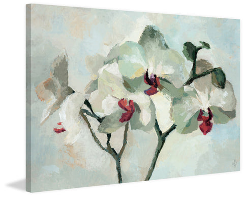 Orchid Bloom