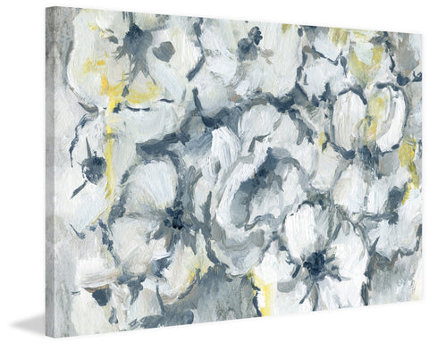 Faded Bloom