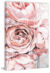 Ranunculus Showers II