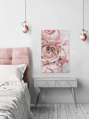 Ranunculus Showers II