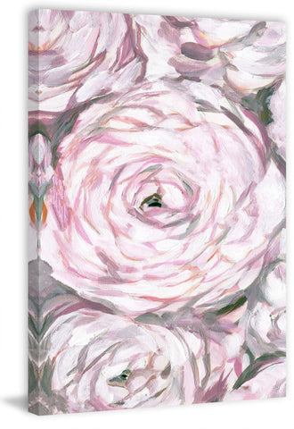 Peonies Spotlight