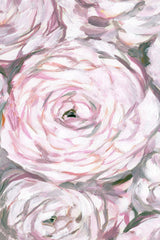 Peonies Spotlight
