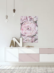 Peonies Spotlight