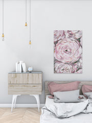 Peonies Spotlight