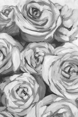 Rose's Spotlight II