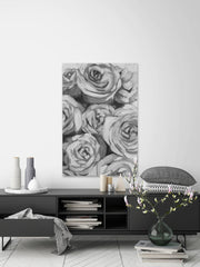 Rose's Spotlight II