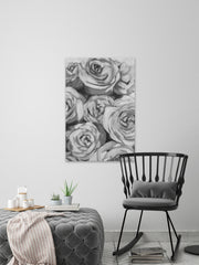 Rose's Spotlight II