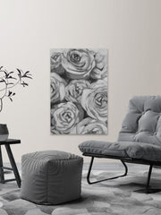Rose's Spotlight II