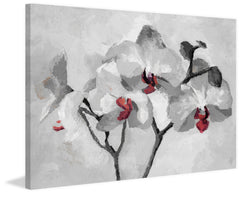 Orchid Bloom II