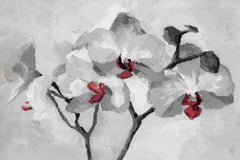 Orchid Bloom II