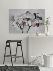 Orchid Bloom II