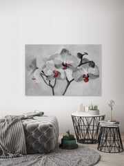 Orchid Bloom II