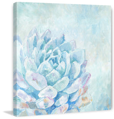 Ethereal Succulent II