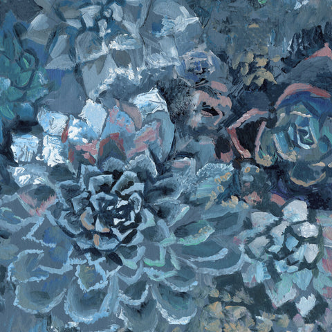 Succulent Garden