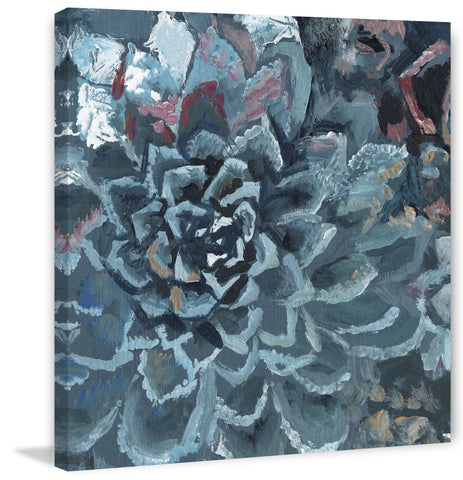 Succulent Spotlight