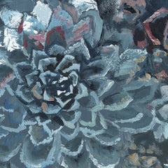 Succulent Spotlight