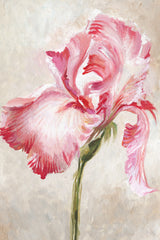 Dancing Bloom