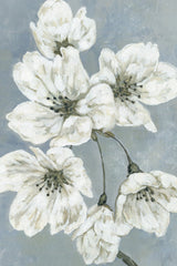 White Blossoms