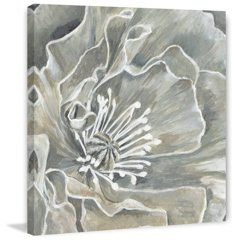 Detailed Petals