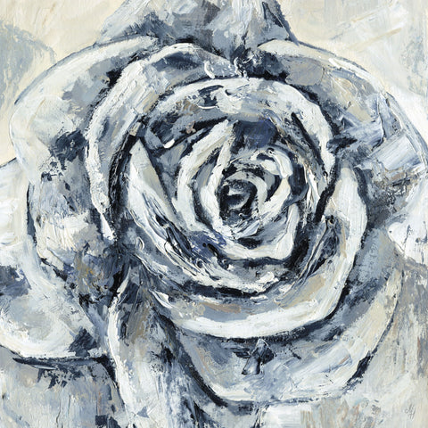 Timeless Rose