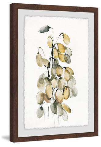 Vintage Orchidea