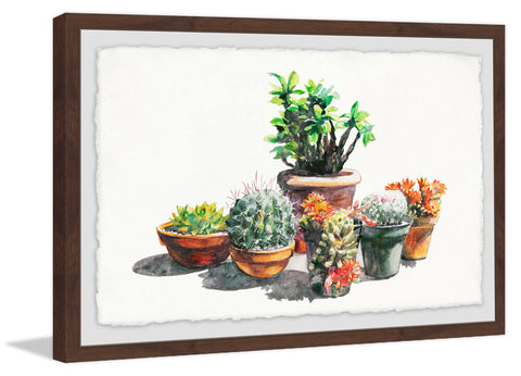 Potted Plant Arrangement