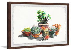 Potted Plant Arrangement