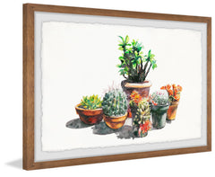 Potted Plant Arrangement