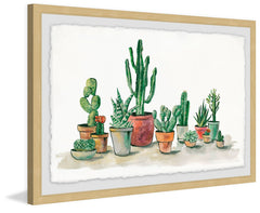 Potted Cacti