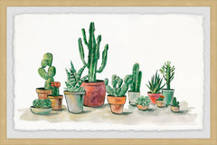 Potted Cacti