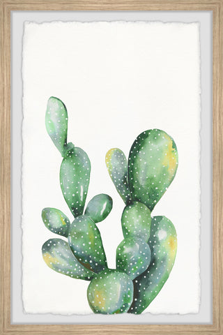 Prickly Cacti