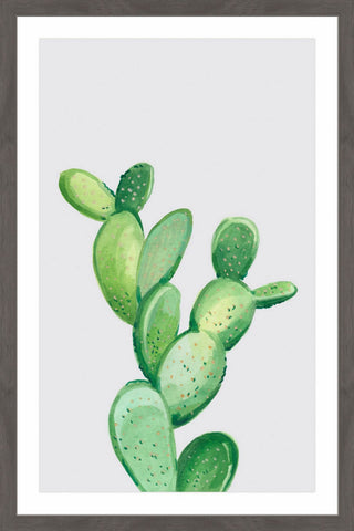 Jade Cactus III
