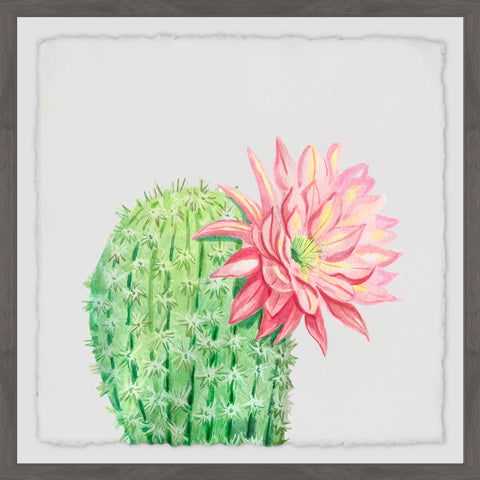Eroica Flowers II