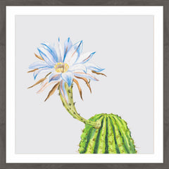 Easter Lily Cactus III
