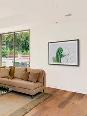 Trichocereus III