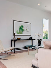 Trichocereus III