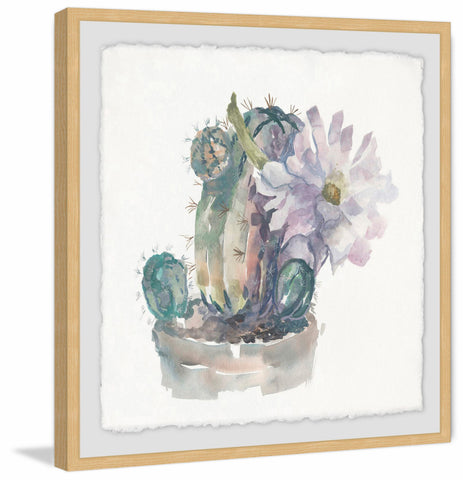 Cactus Florals