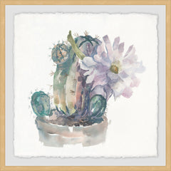 Cactus Florals
