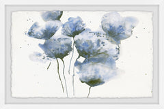 Mauve Poppies