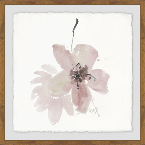 Waning Lily