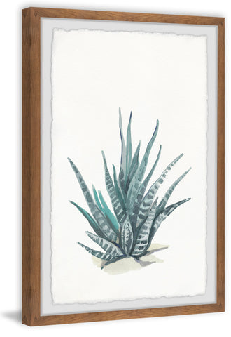 Tall Succulent