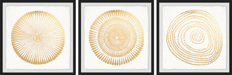 Golden Floral Bloom Triptych
