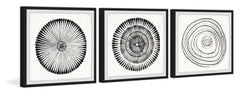 Circle Bloom Triptych