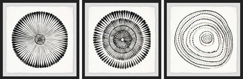 Circle Bloom Triptych